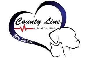County Line Animal Hospital